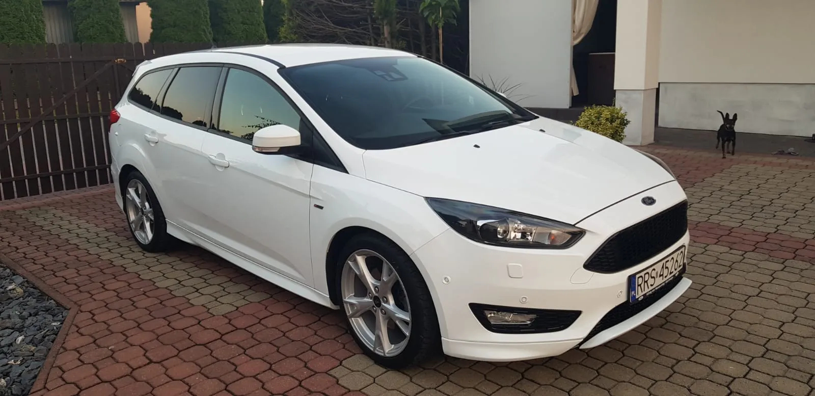 Ford Focus 1.5 EcoBoost ST-Line - 2