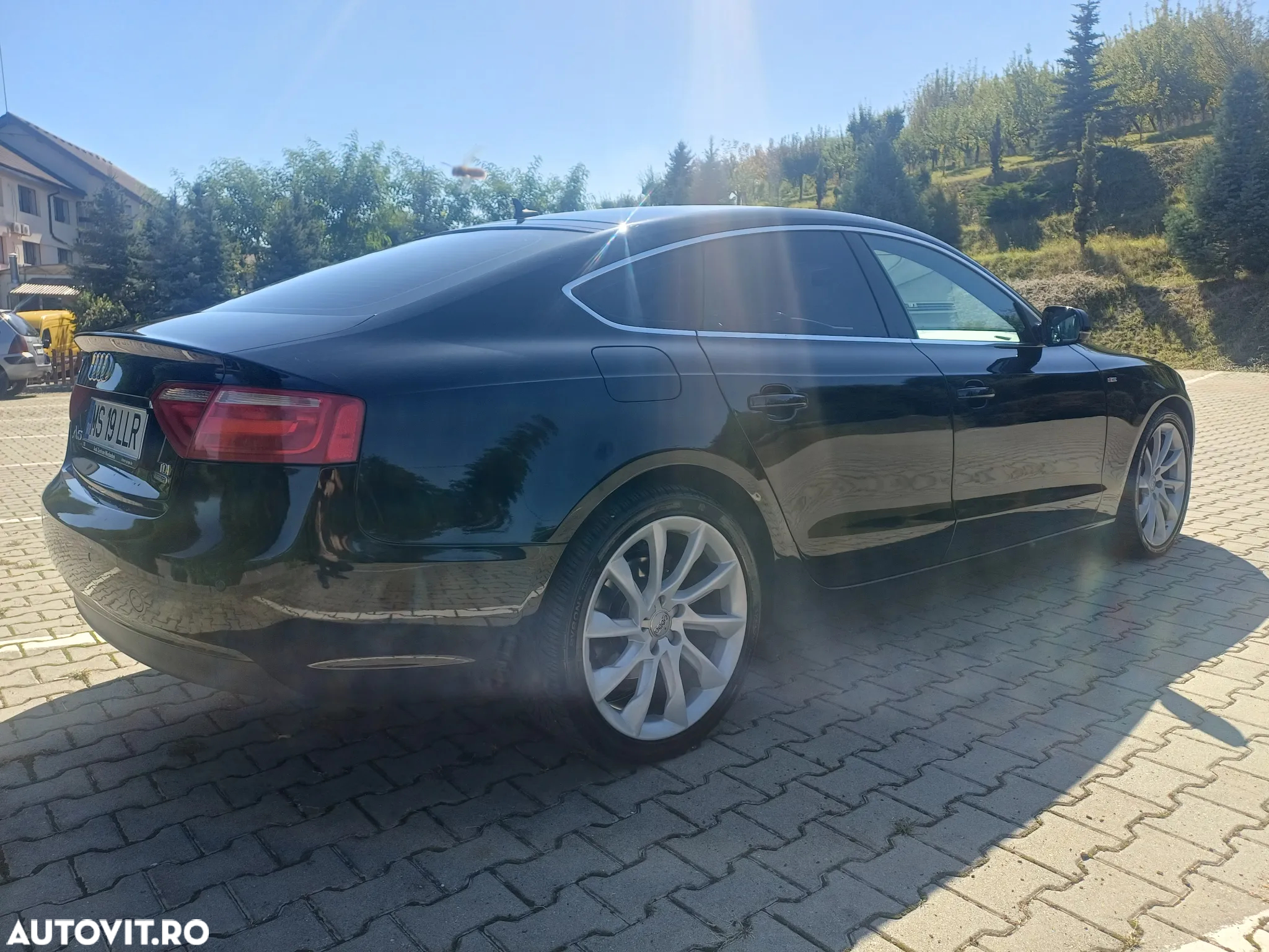Audi A5 2.0 TDI Sportback (clean diesel) quattro DPF S tro. - 13