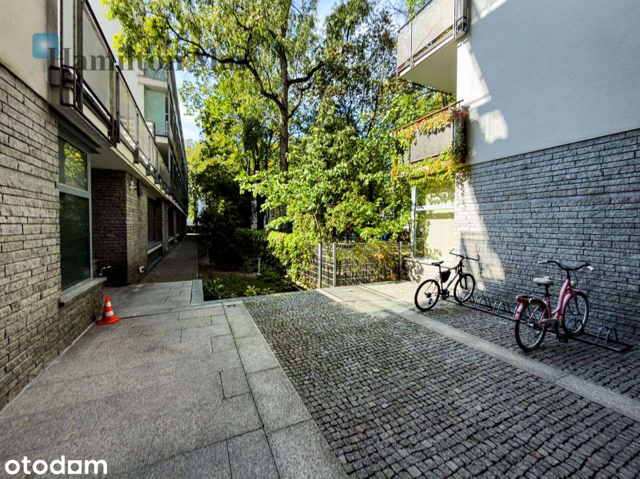 Apartament z widokiem na piękny starodrzew