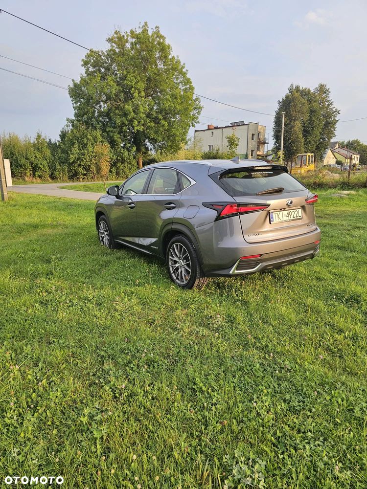 Lexus NX - 10