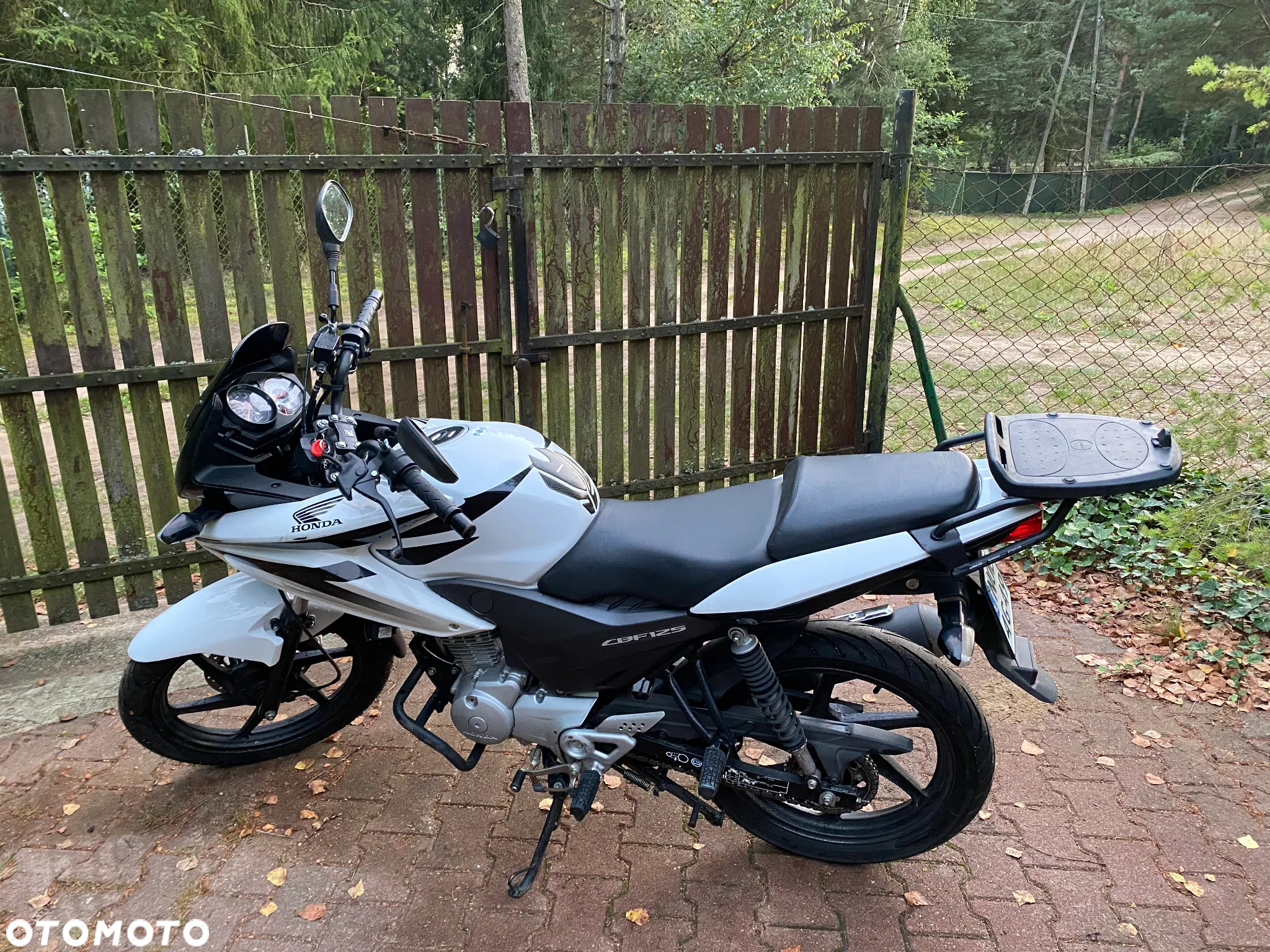Honda CBF - 2