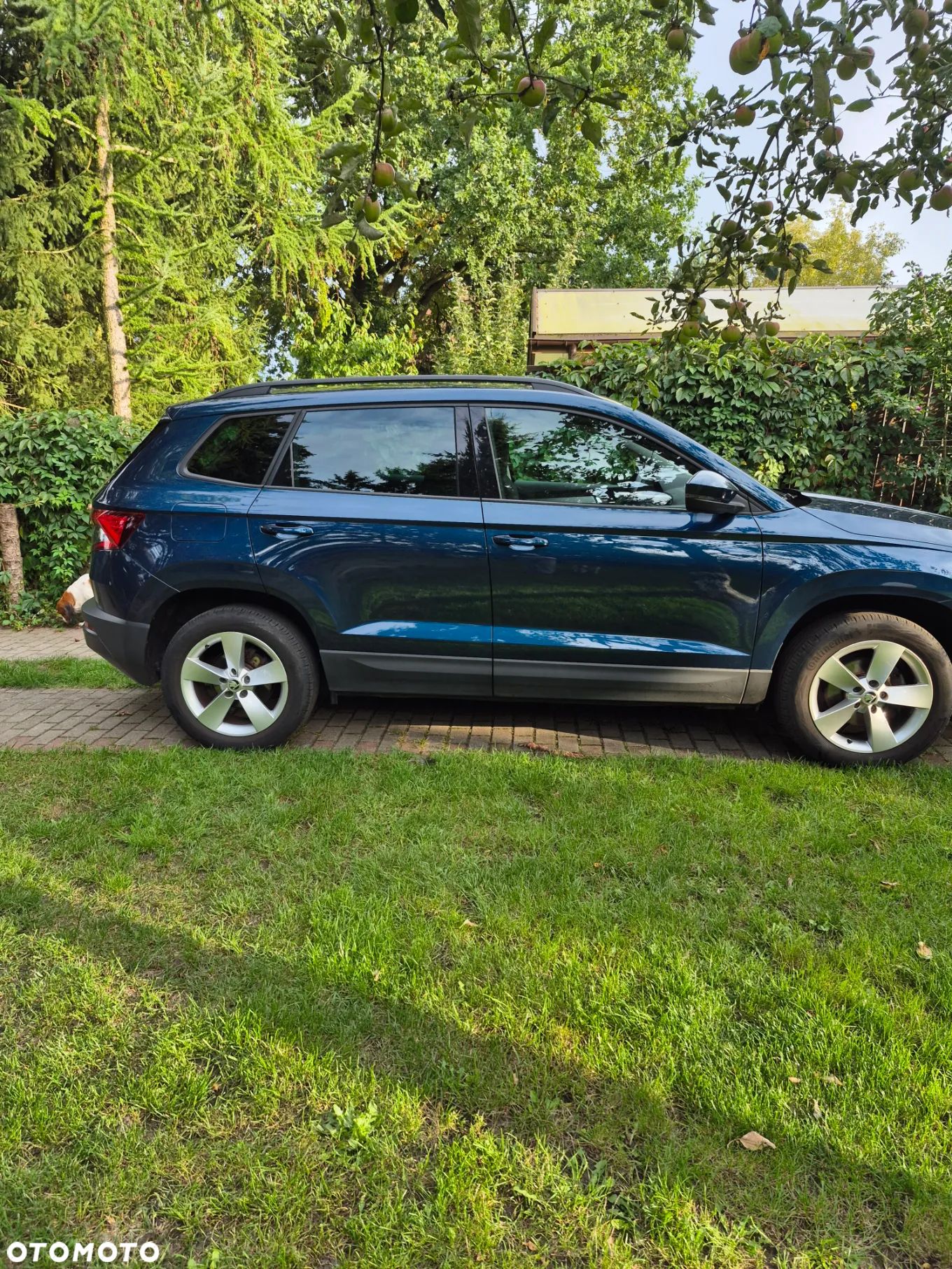 Skoda Karoq 1.0 TSI Ambition - 1