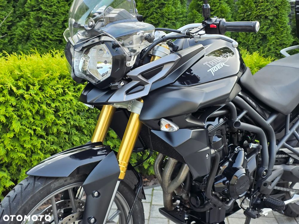 Triumph Tiger - 27