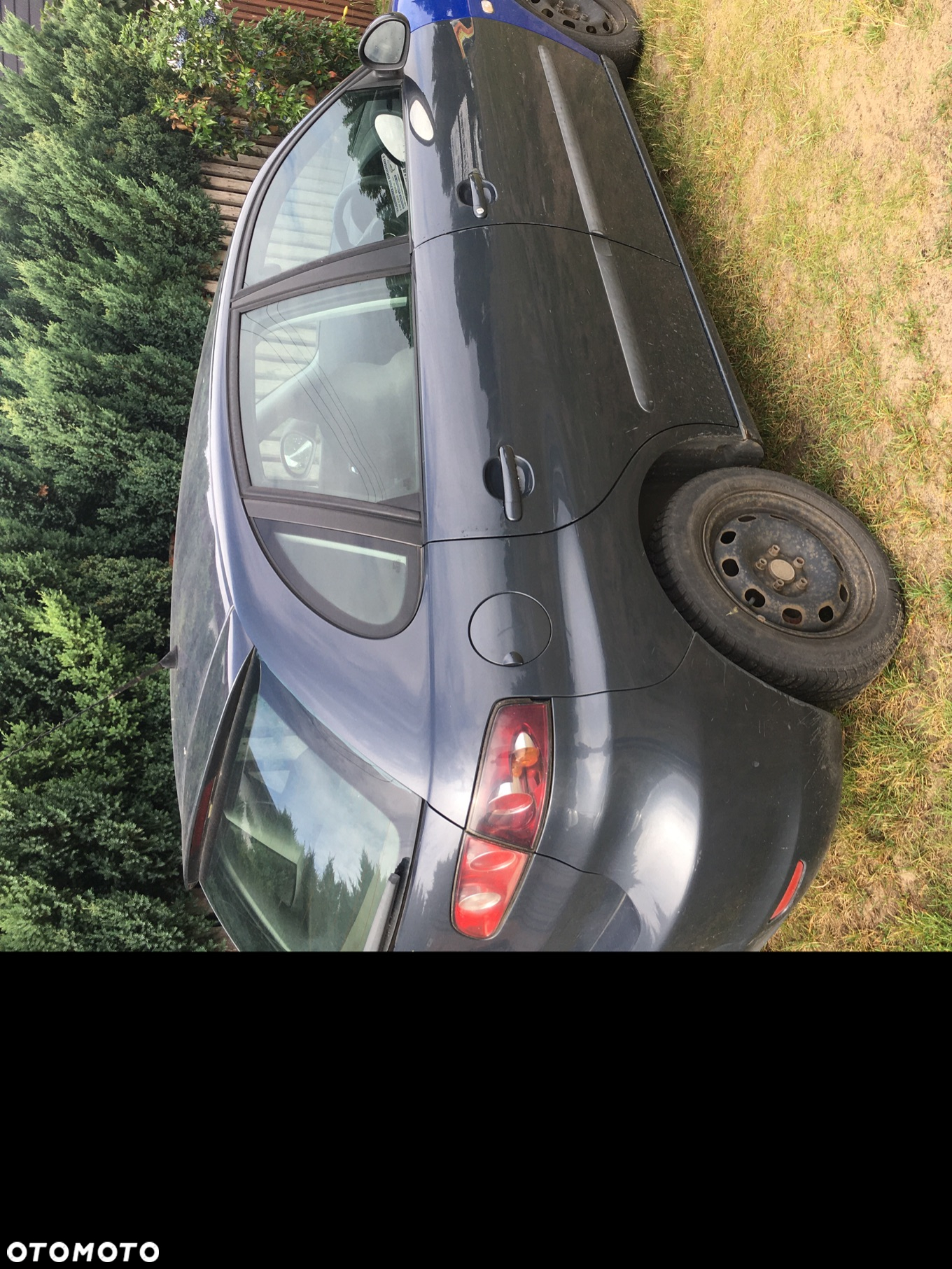 Seat Ibiza - 2