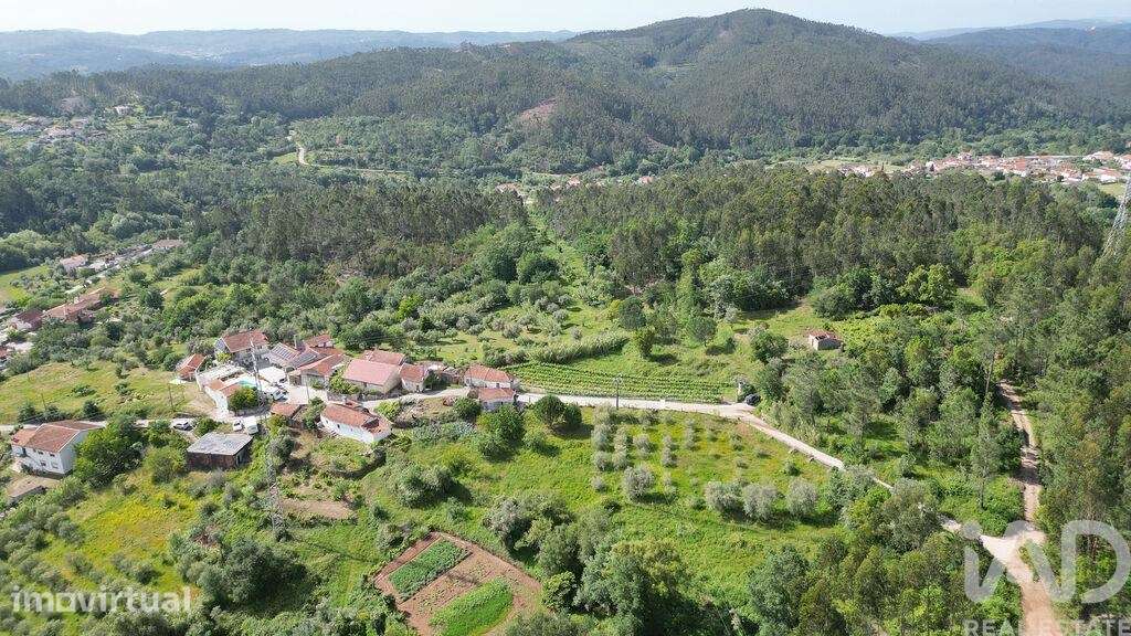 Terreno para construção em São Miguel, Santa Eufémia e Rabaçal - Grande imagem: 4/16