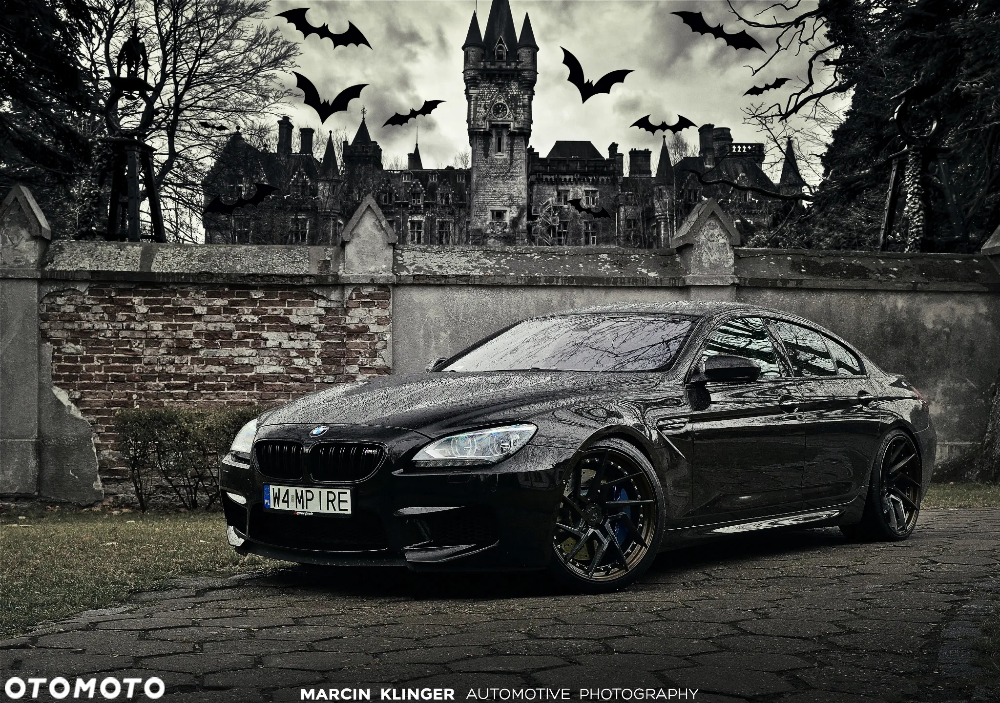 BMW M6 Standard - 24