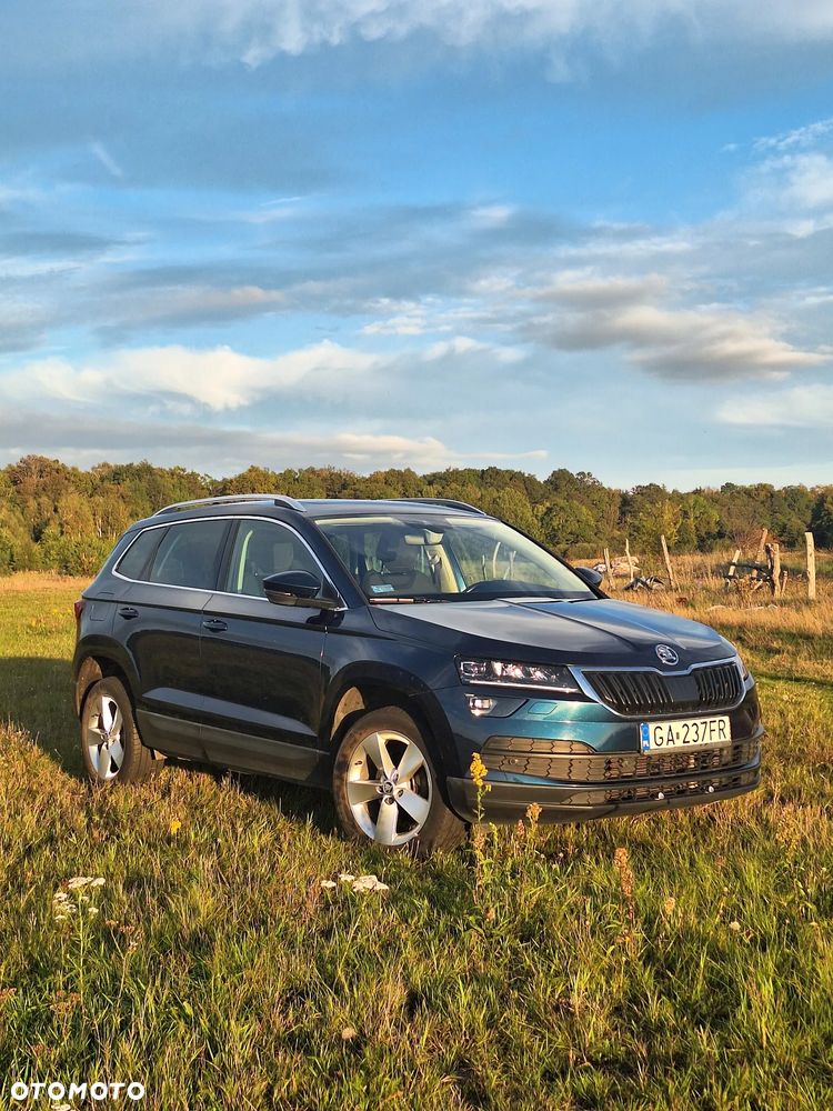 Skoda Karoq - 5
