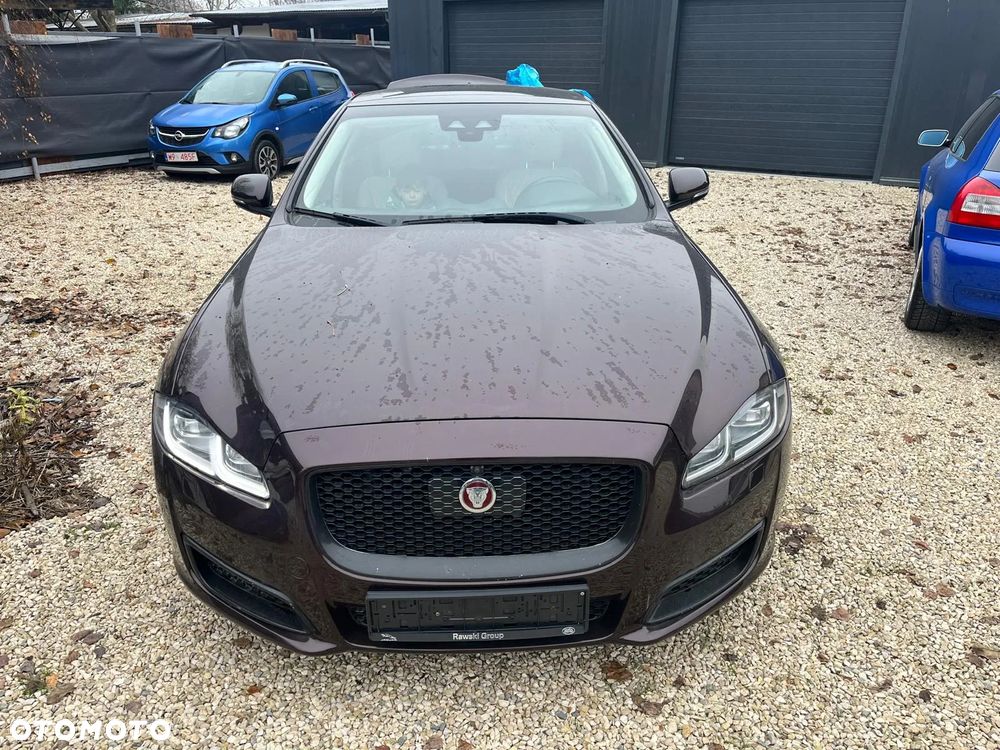 Jaguar XJ 3.0 D V6 XJ50 - 4