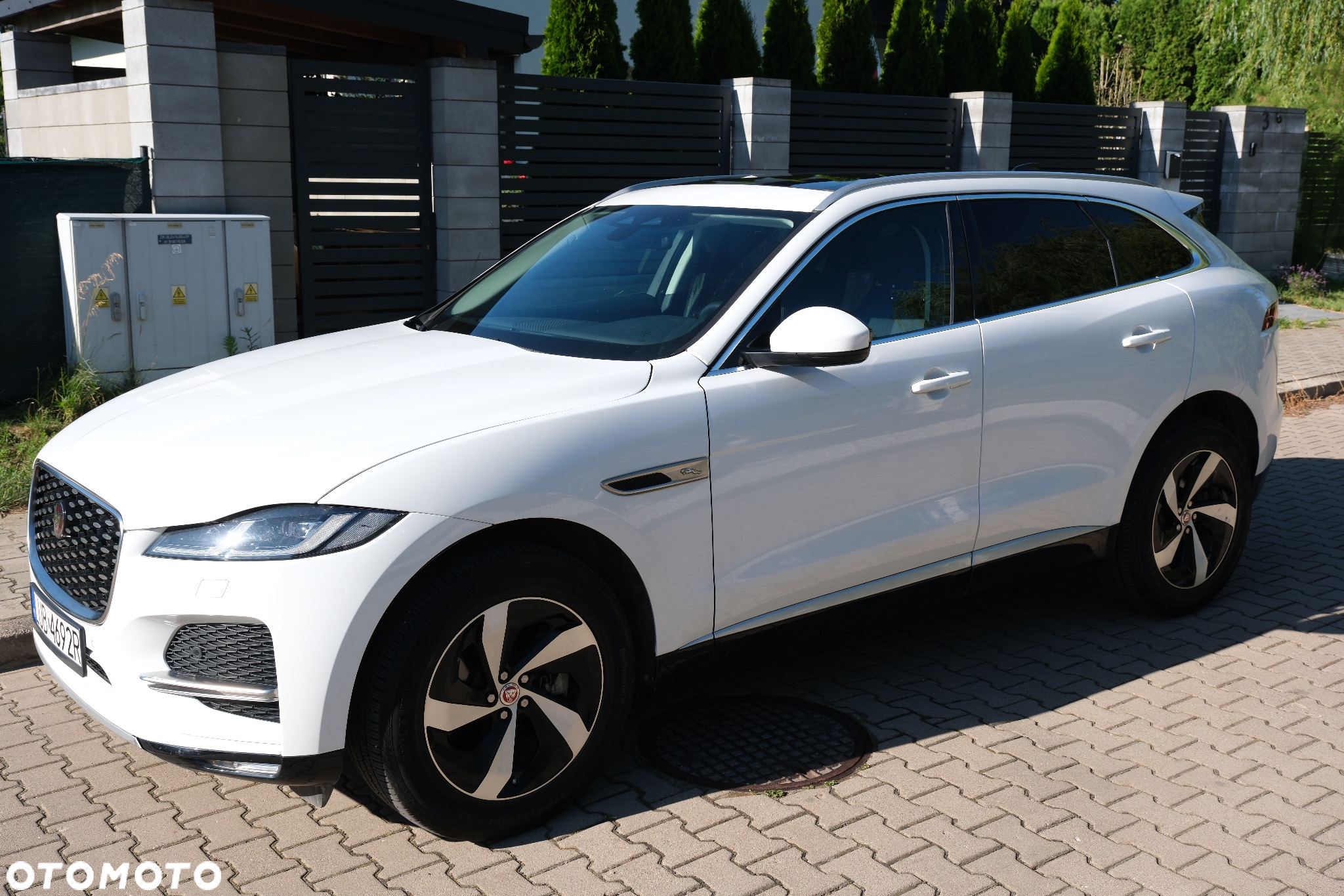 Jaguar F-Pace P250 AWD R-Dynamic SE - 11