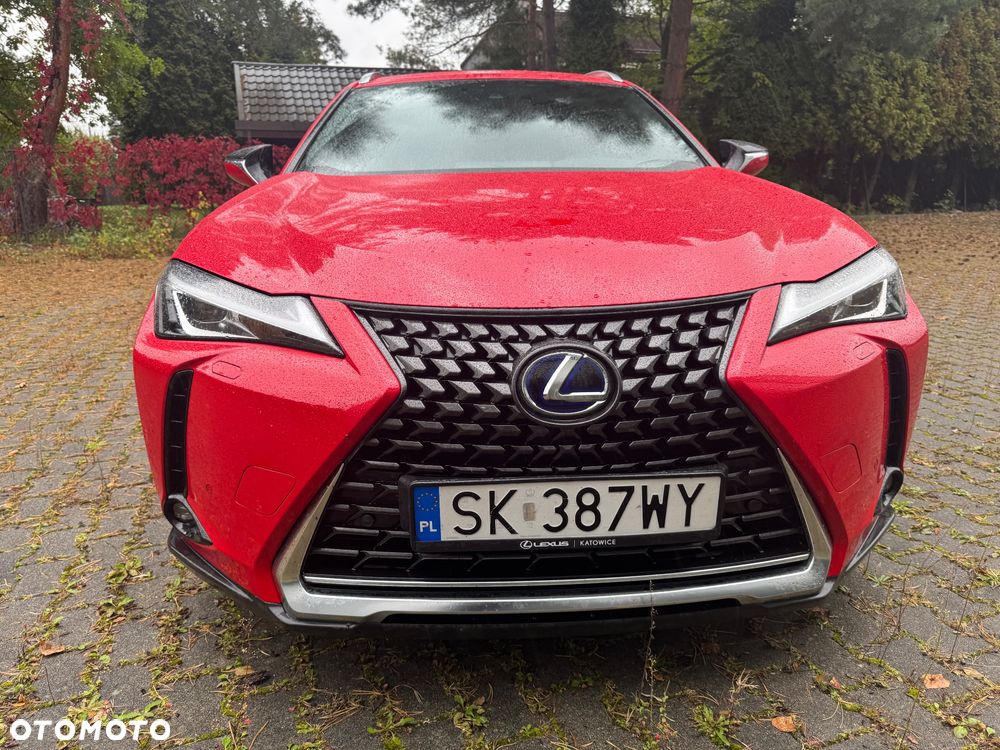 Lexus UX 250h GPF Business Edition 2WD - 1