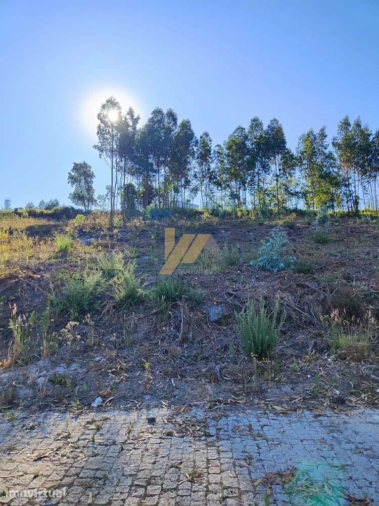 Terreno para construção com uma área de 725m2 - Grande imagem: 2/3
