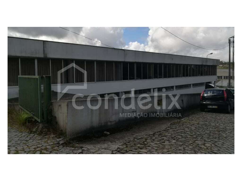 Pavilhão industrial com logradouro para venda em S. Martinho de Bou... - Grande imagem: 3/25