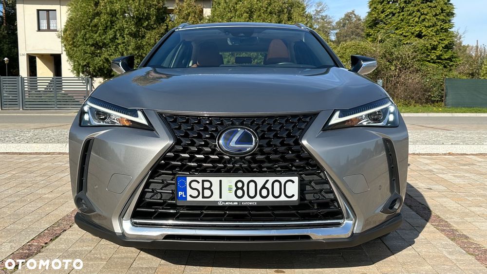 Lexus UX 250h GPF Prestige AWD - 15