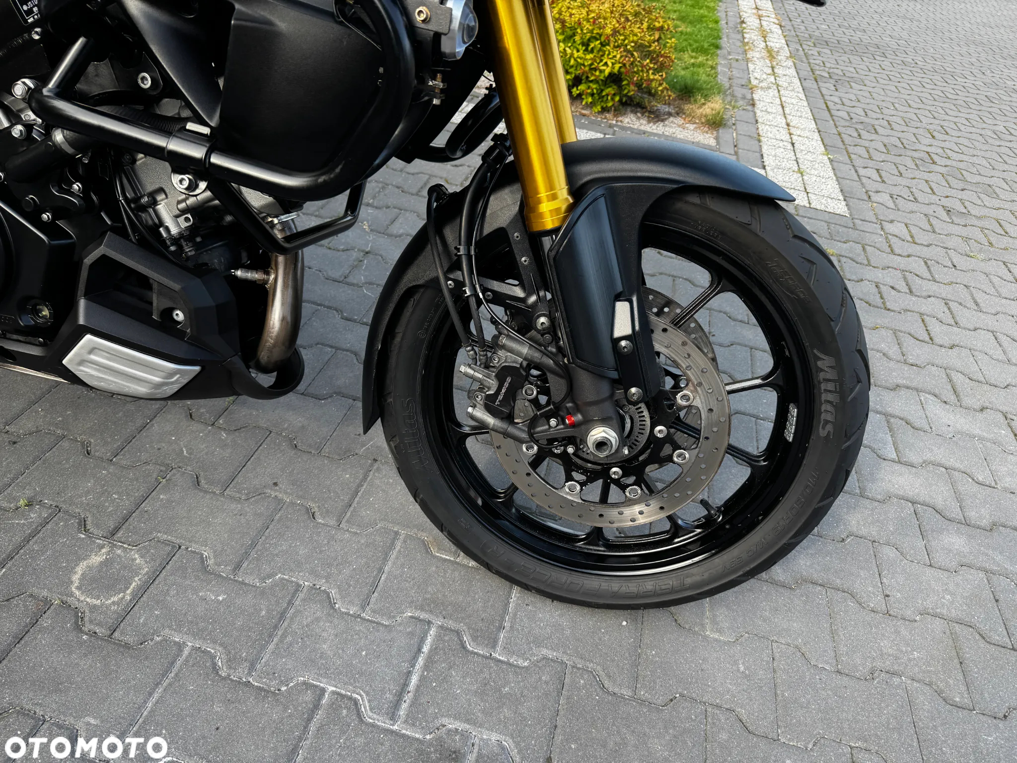 Suzuki V-STROM - 15