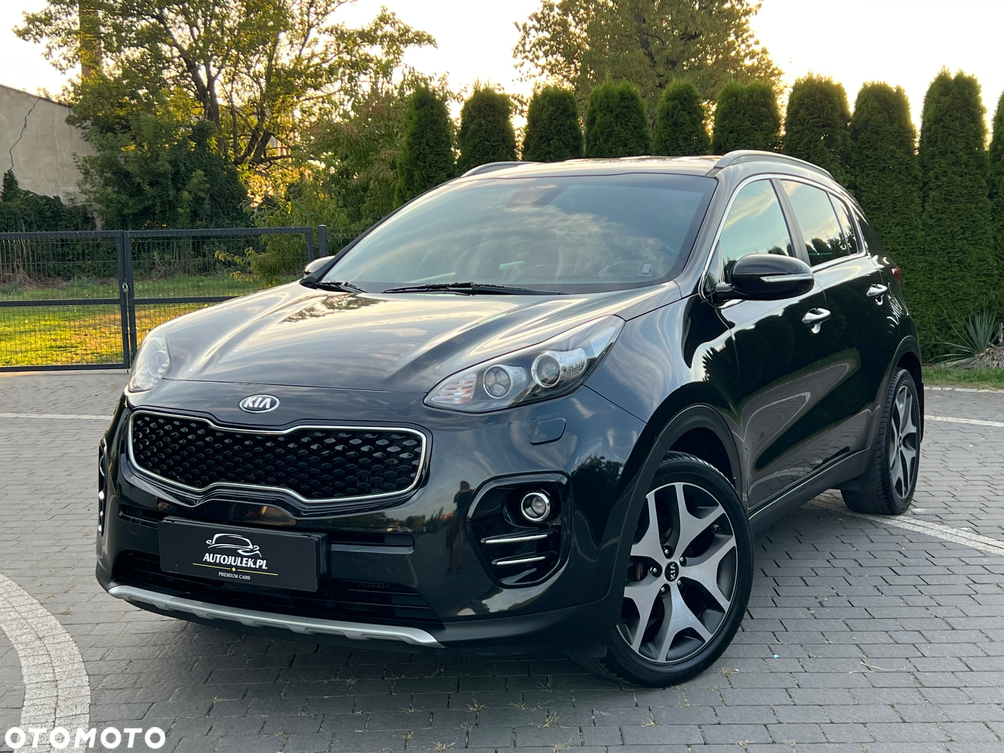 Kia Sportage 1.6 T-GDI L Business Line Plus 2WD - 7
