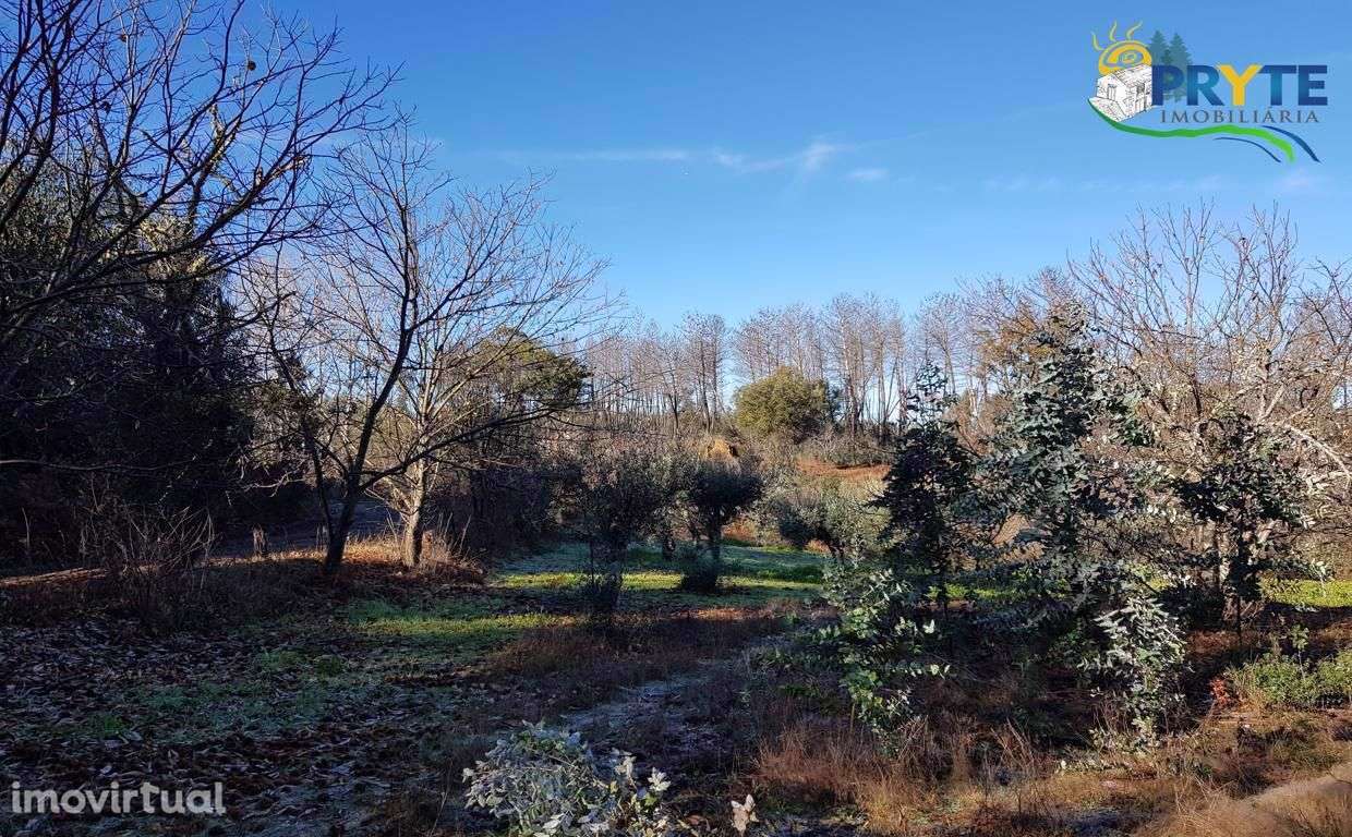 Quinta situada em Pedrógão Pequeno - Grande imagem: 5/60