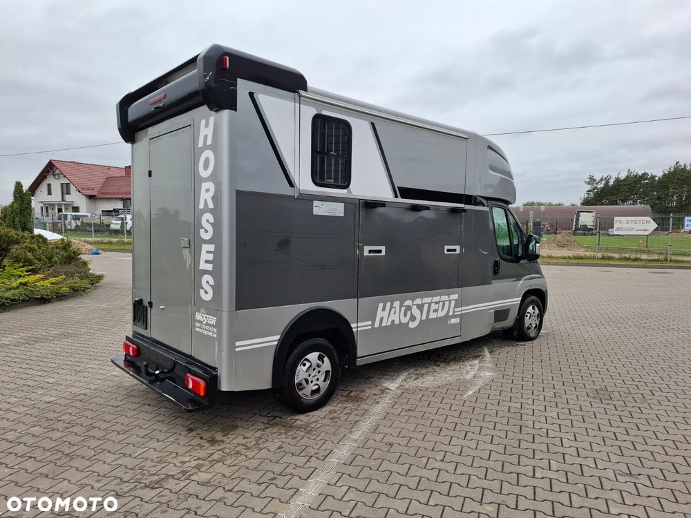 Peugeot BOXER 35, 2.0HDI / koniowóz Hagsted Horses - 4