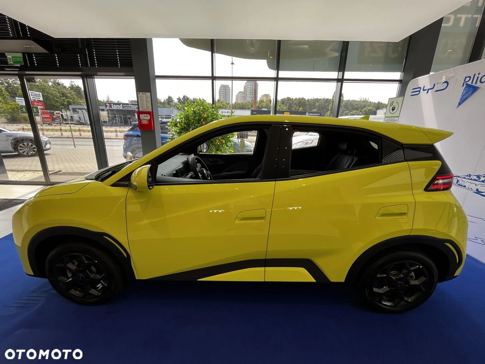 BYD Dolphin Surf Boost - 6
