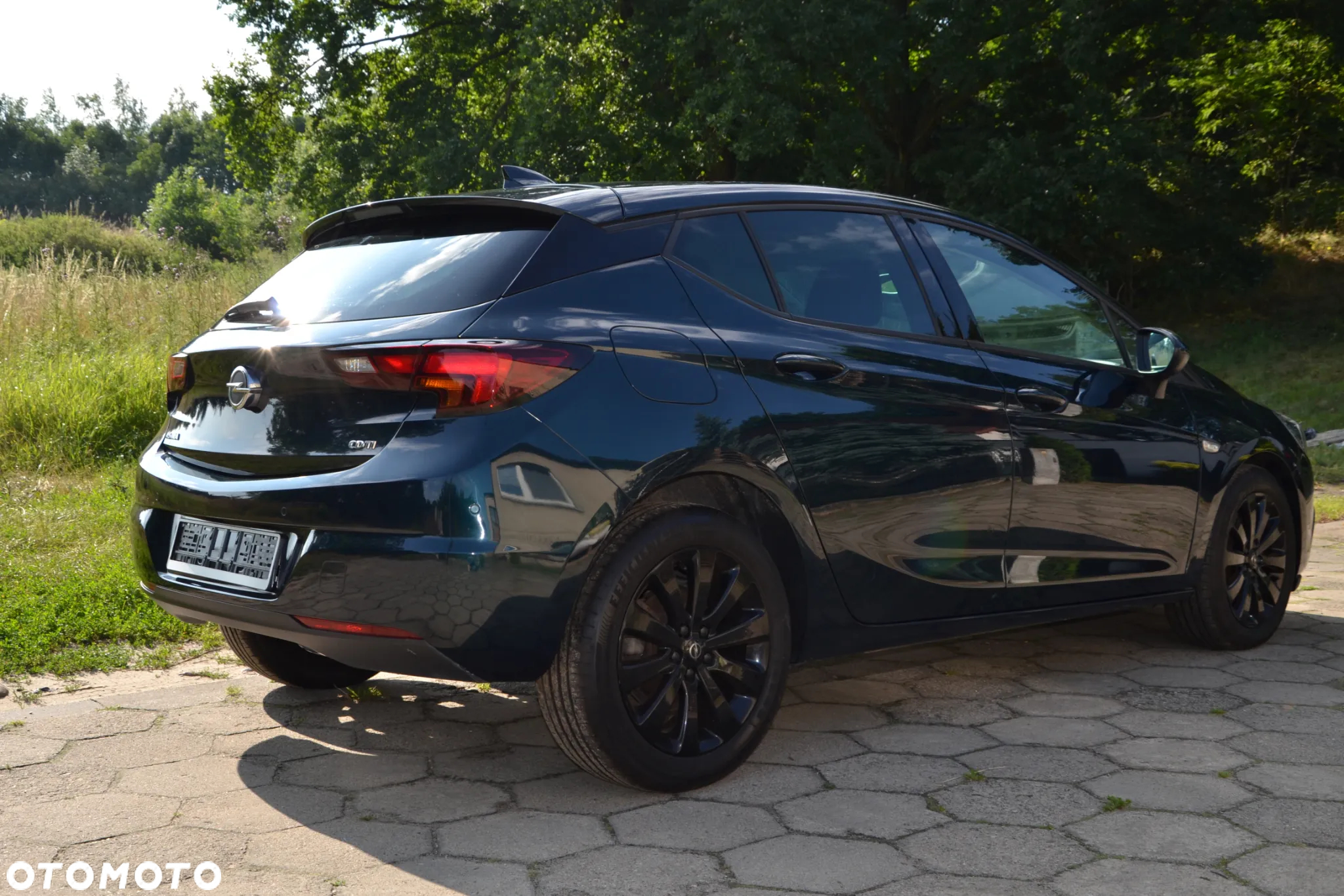 Opel Astra V 1.6 CDTI Elite S&S - 14