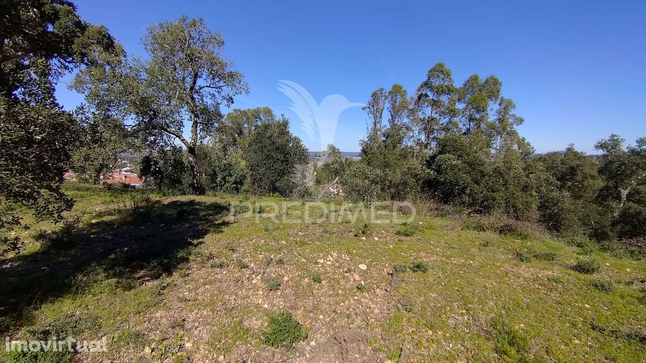 Terreno Rústico 1640 m2 - Grande imagem: 5/23