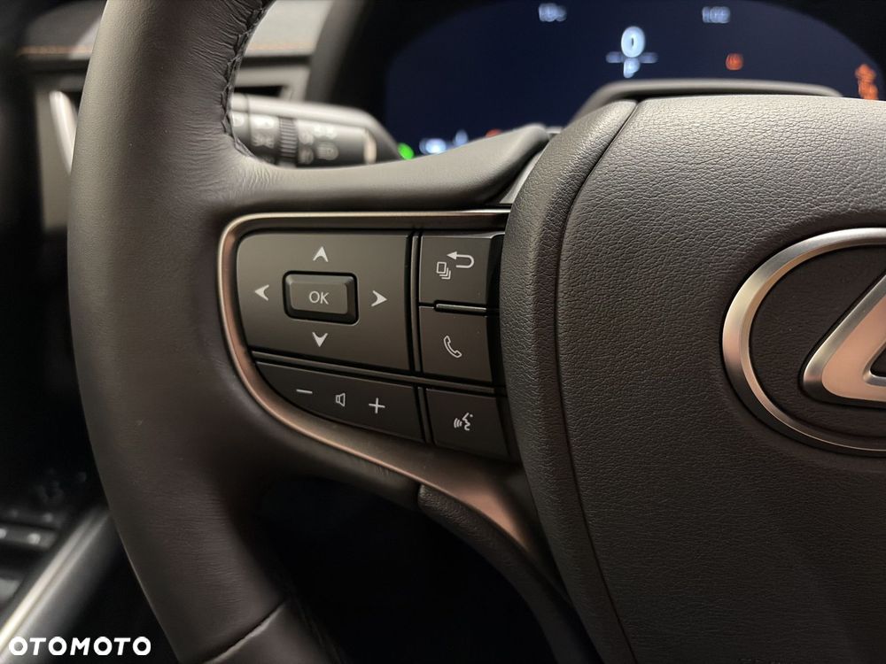 Lexus UX 300h Prestige - 13