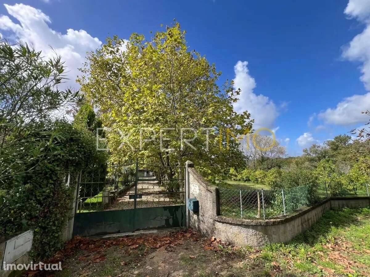 Moradia V3 São Silvestre Coimbra - Grande imagem: 4/33