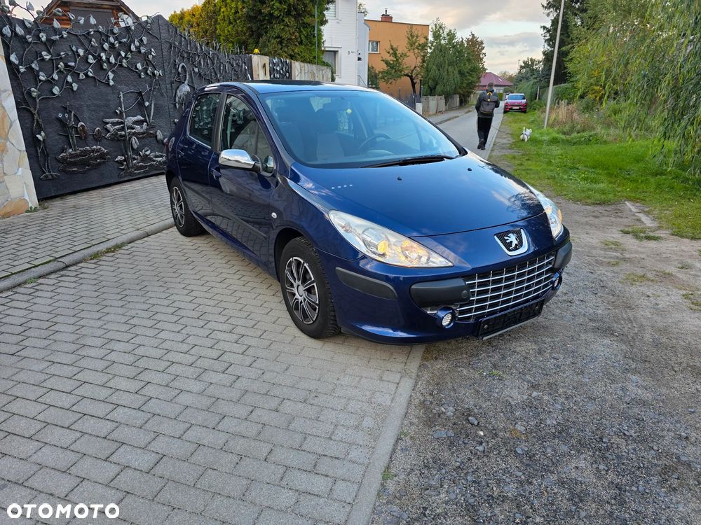 Peugeot 307 - 1