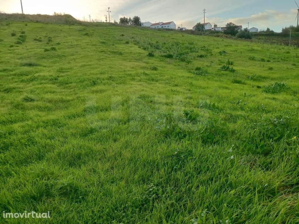 Terreno rústico, para venda, Runa - Grande imagem: 4/8