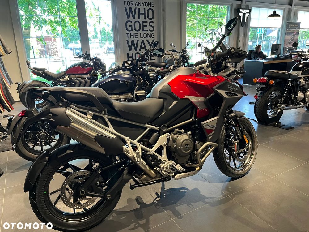 Triumph Tiger - 5