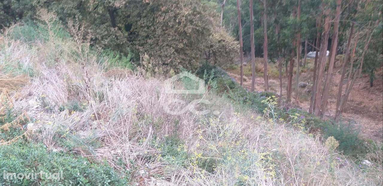Terreno de construção - Delães - Grande imagem: 4/5