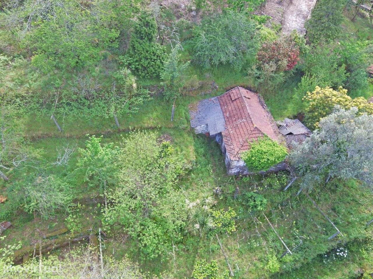 Terreno com ruína em Guimarei - Grande imagem: 2/8