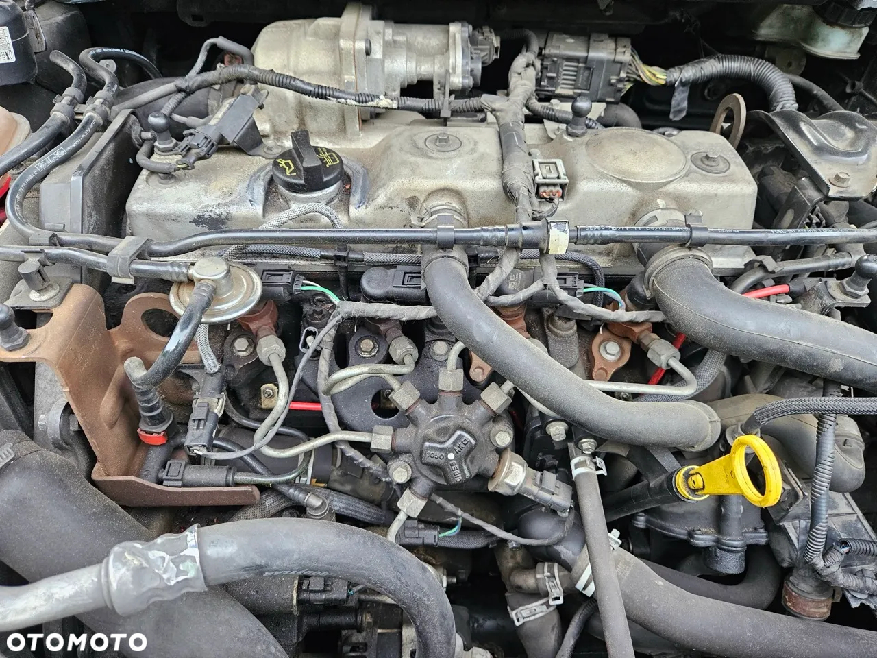 Ford Focus - 21