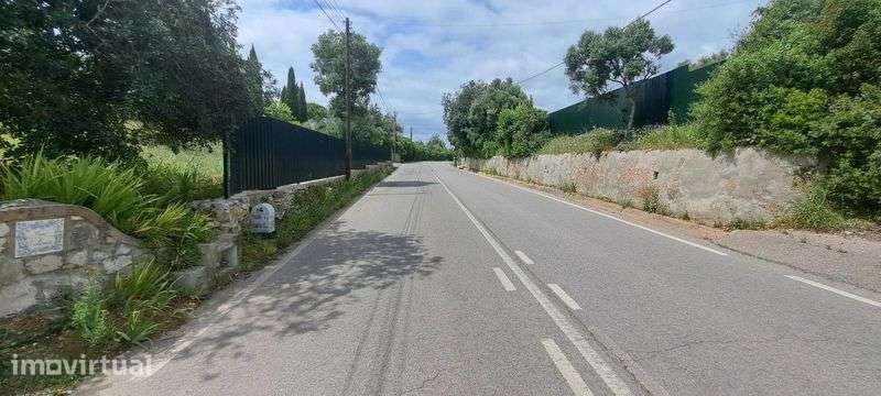 Terreno 3.160m2 em Boliqueime (Aroal) - Grande imagem: 3/12