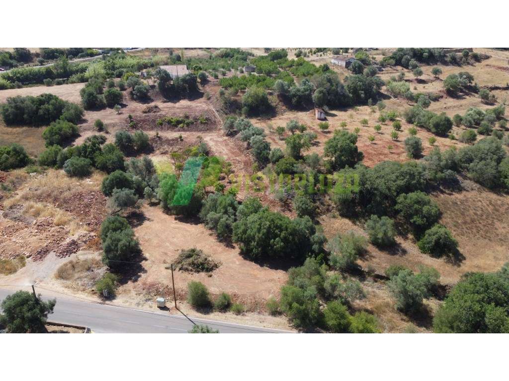 Terreno Rústico com 8.600 m² em Pedreiras, São Bartolomeu de Messin... - Grande imagem: 4/17