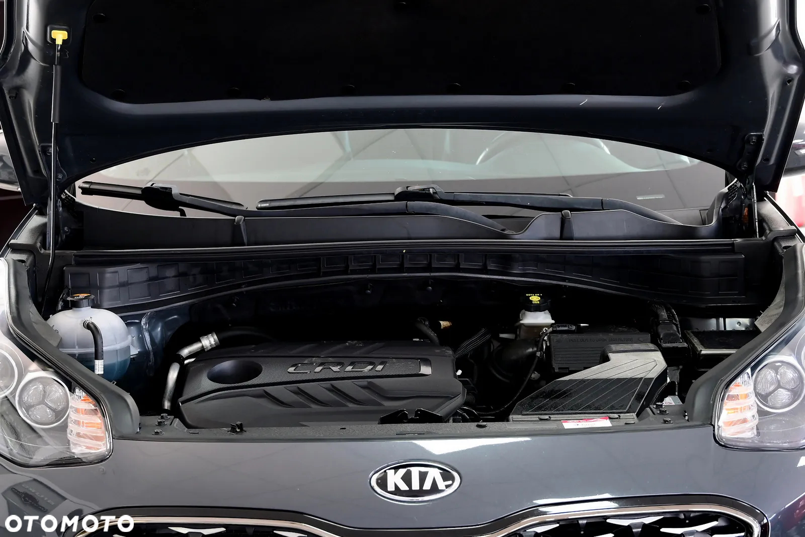 Kia Sportage - 9