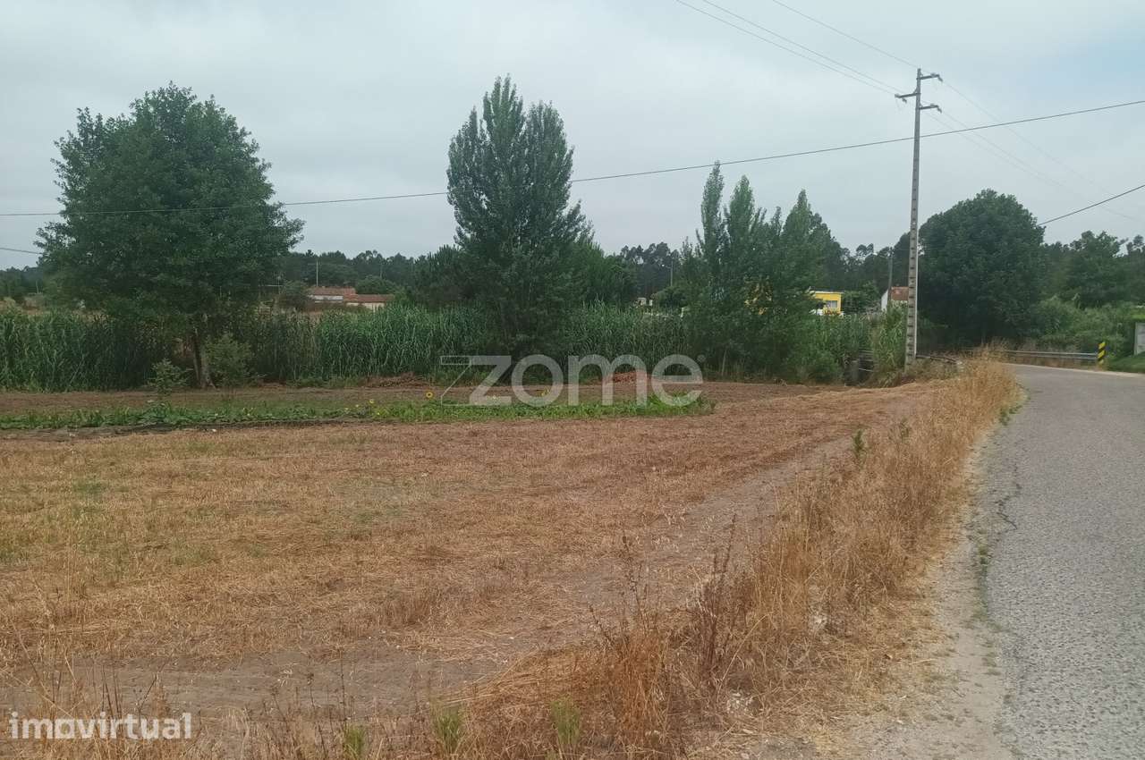 Terreno Agricola em Moita Vaqueira - Arazede - Grande imagem: 2/9