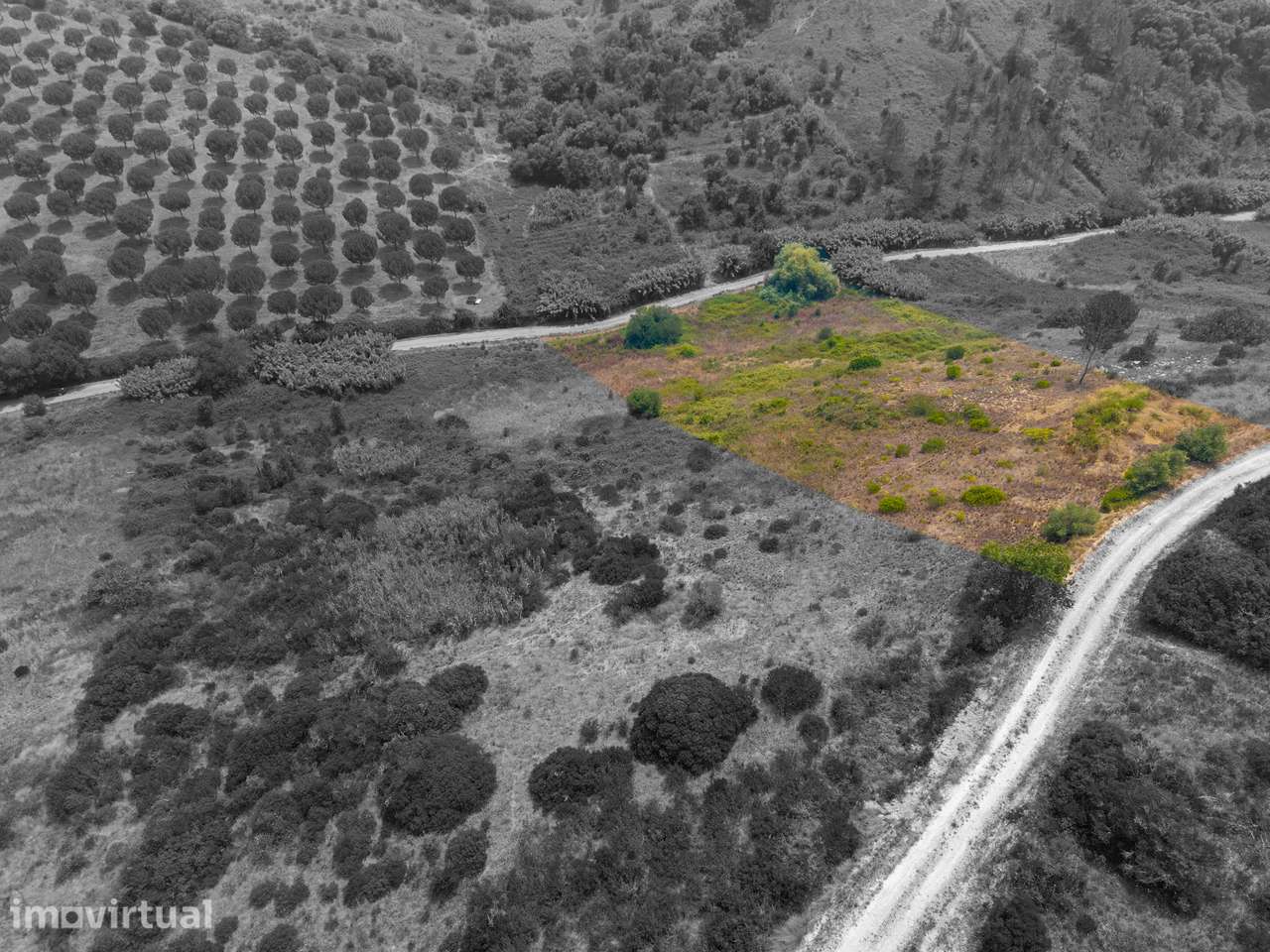 Terreno Rústico com 7.720 m², Nascente e Poço em Maçussa – Azambuja - Grande imagem: 4/17