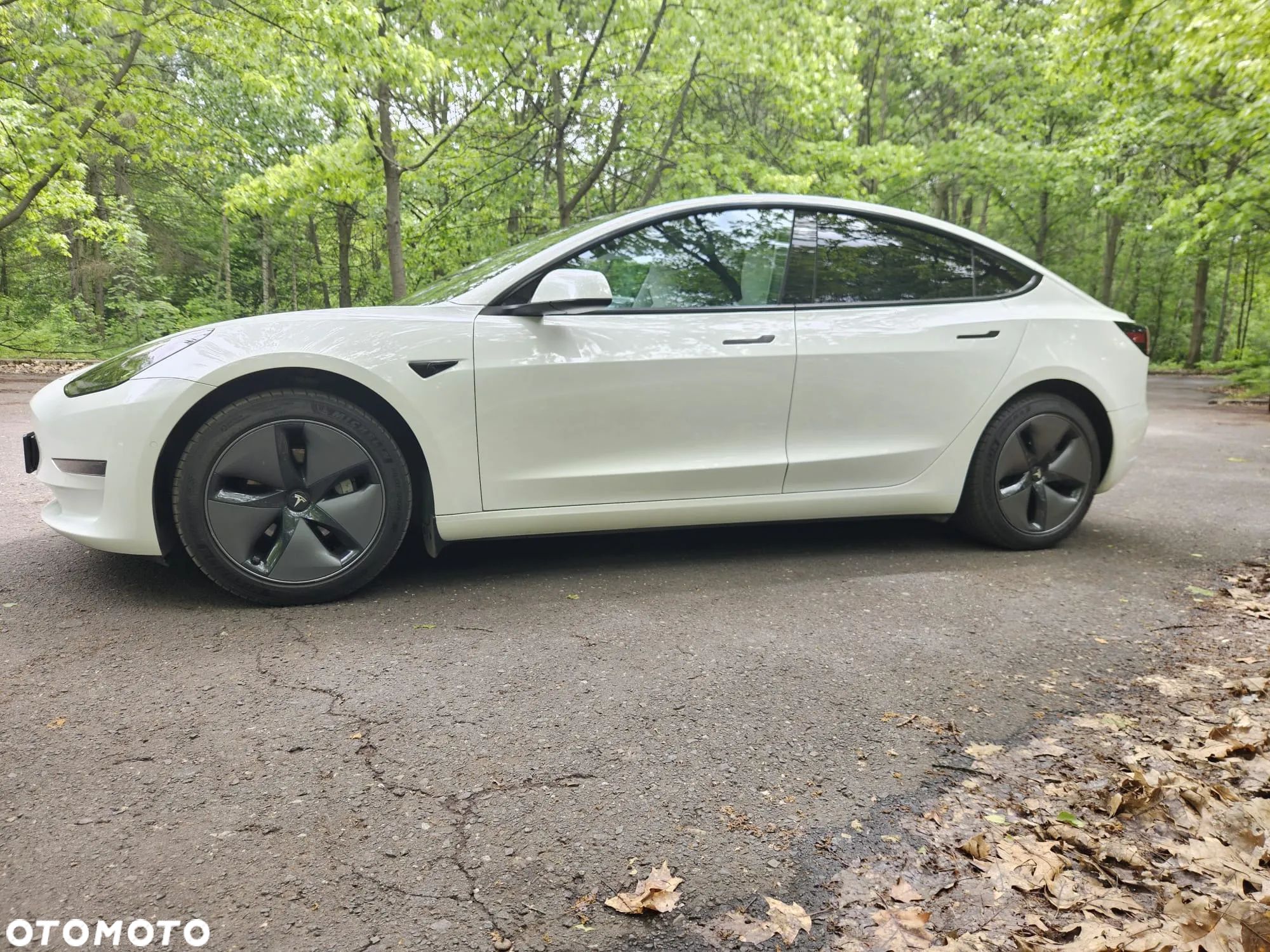 Tesla Model 3 Performance AWD - 1