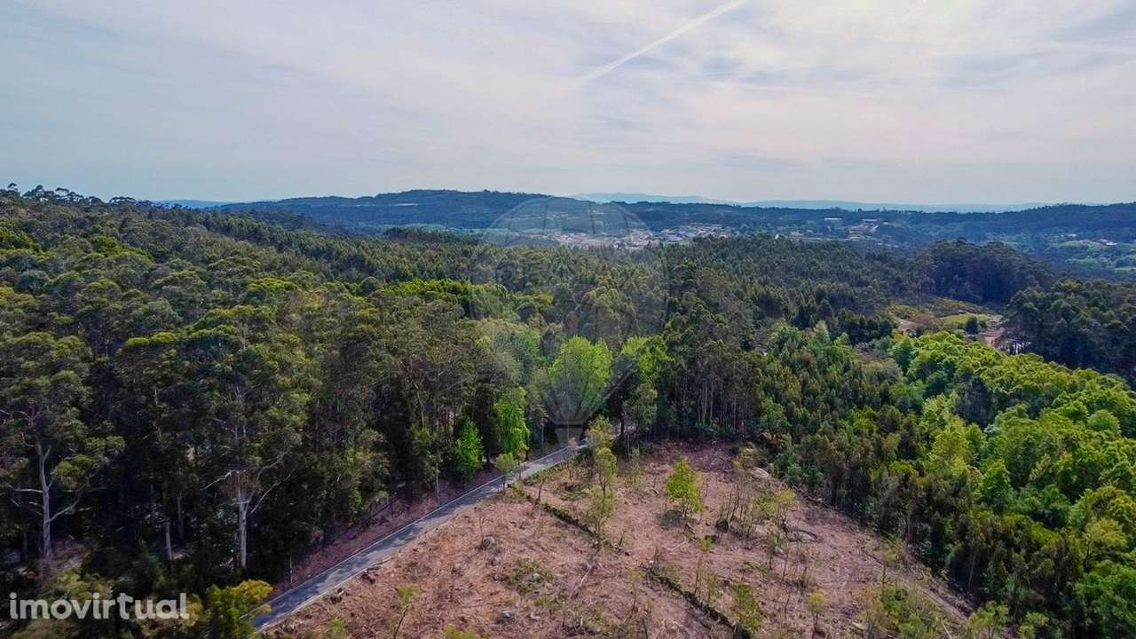 Terreno  para venda - Grande imagem: 4/10