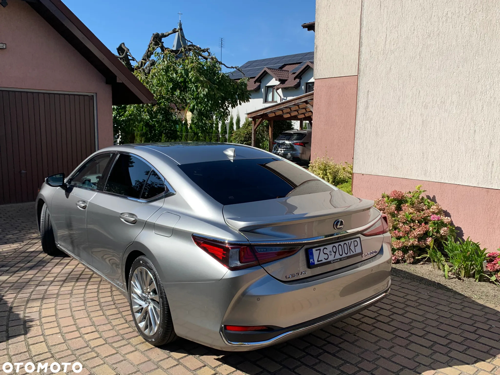 Lexus ES 300h Omotenashi - 4