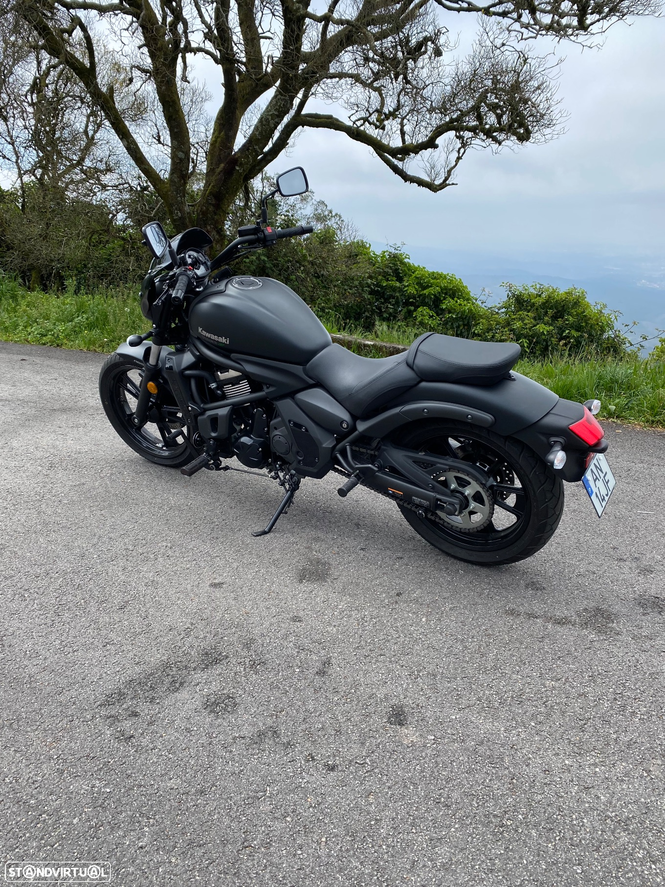 Kawasaki Vulcan - 4