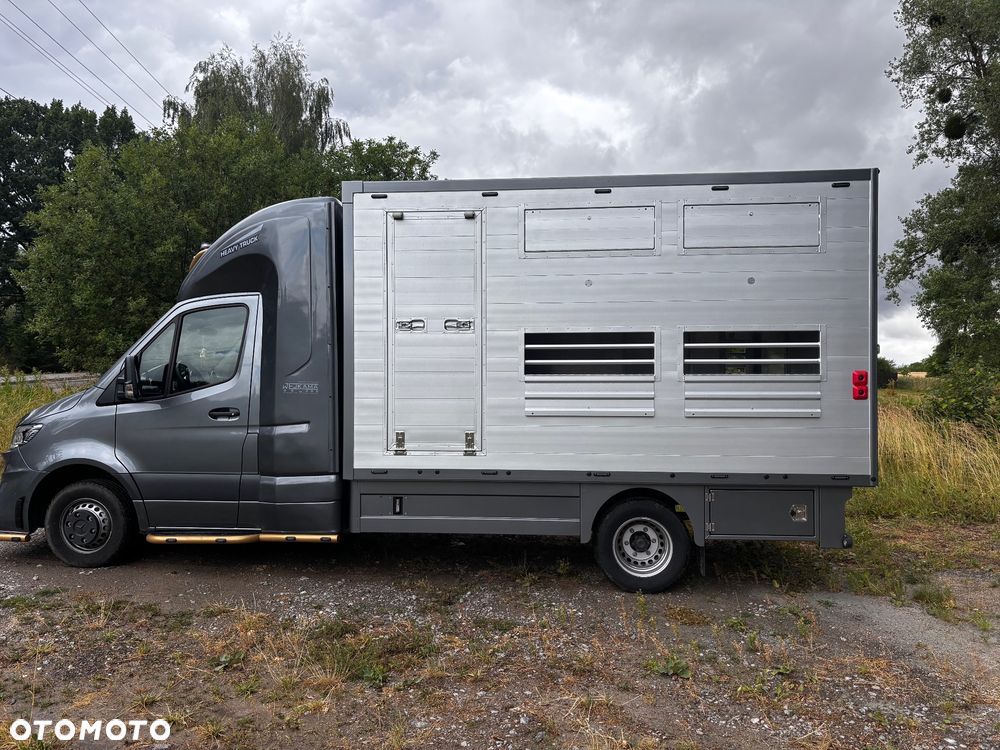 Mercedes-Benz Sprinter - 6