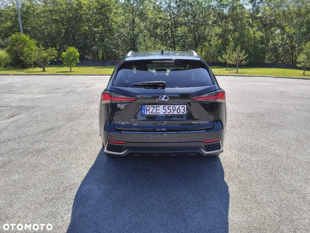 Lexus NX - 8