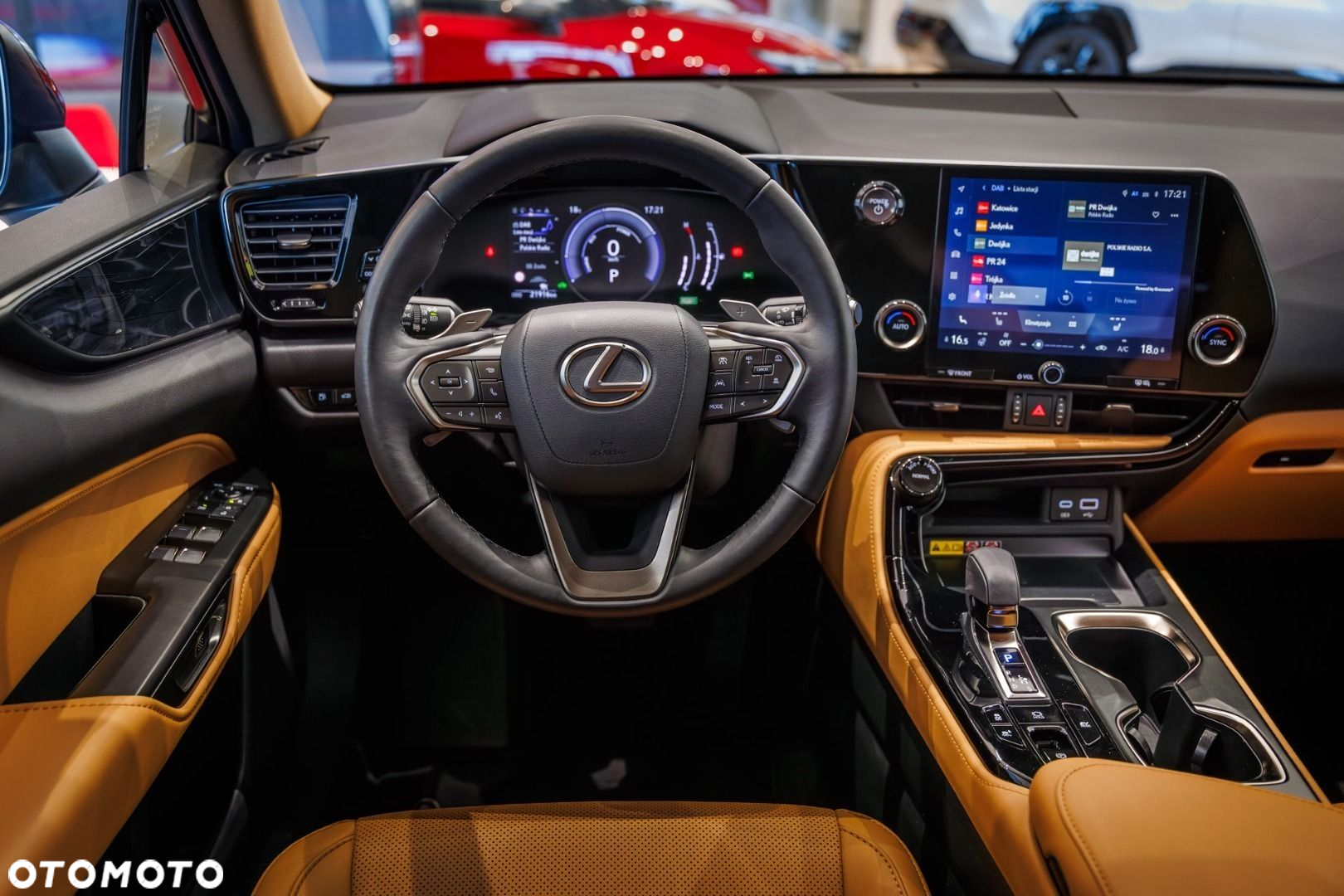 Lexus NX - 30
