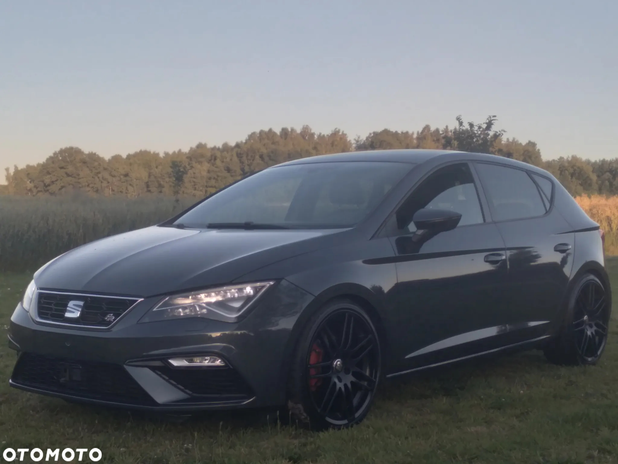 Seat Leon - 3