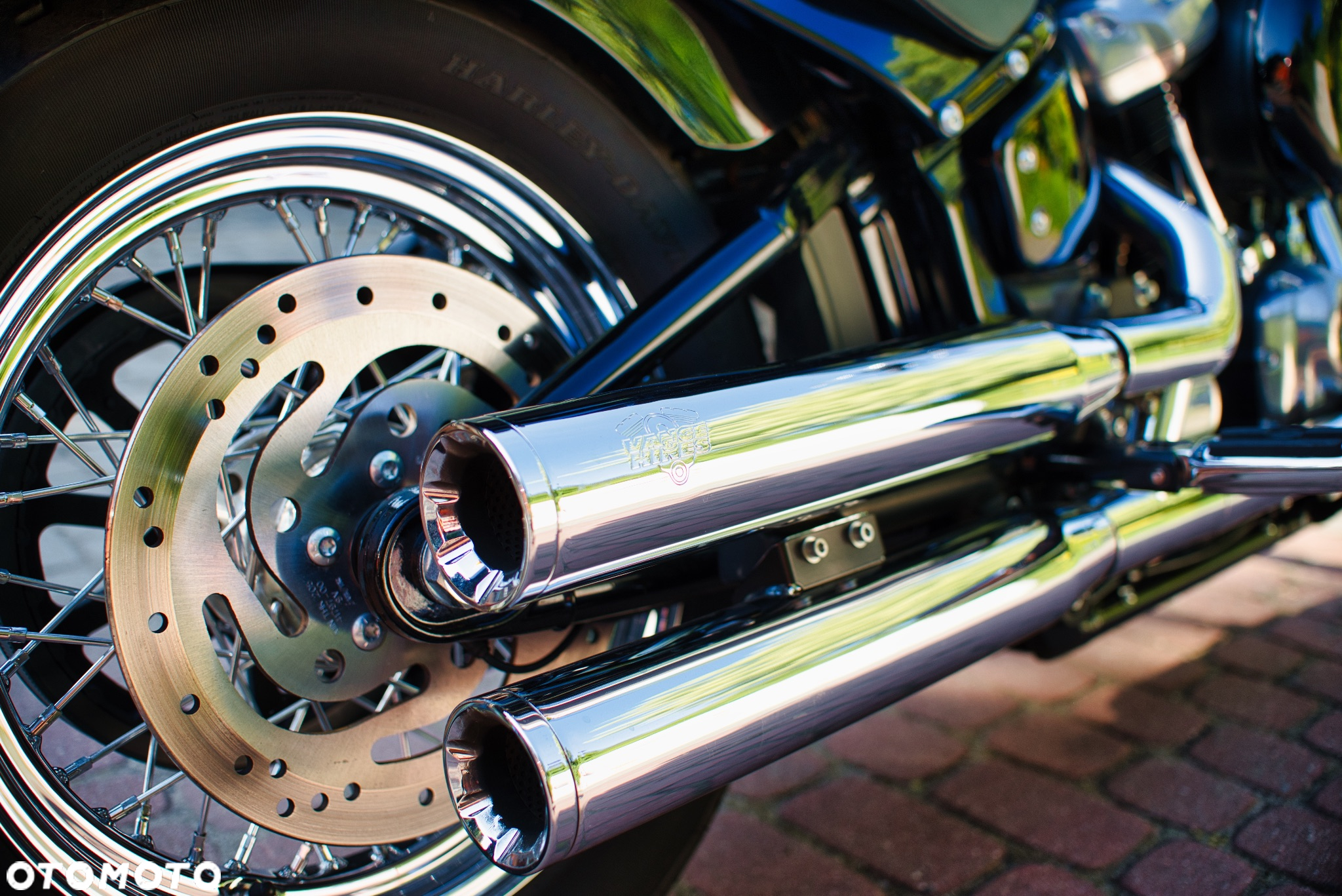 Harley-Davidson Softail Standard - 8
