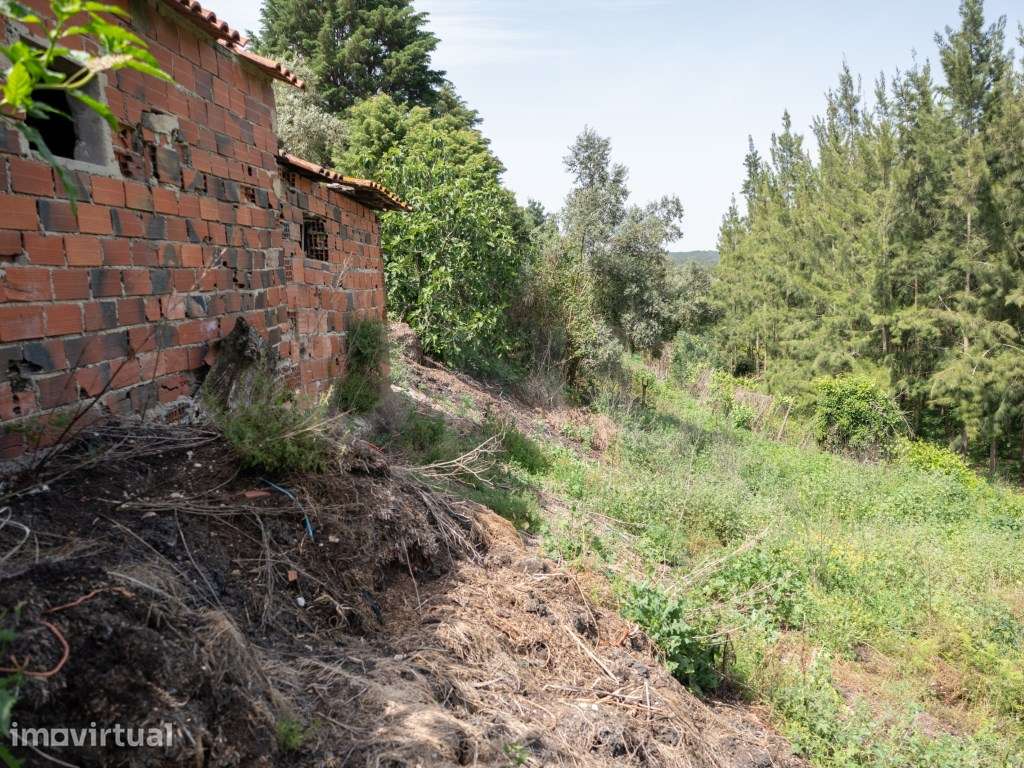 Espaço de arrecadação e arrumos, para venda, em terreno de 1720m2 - Grande imagem: 3/11