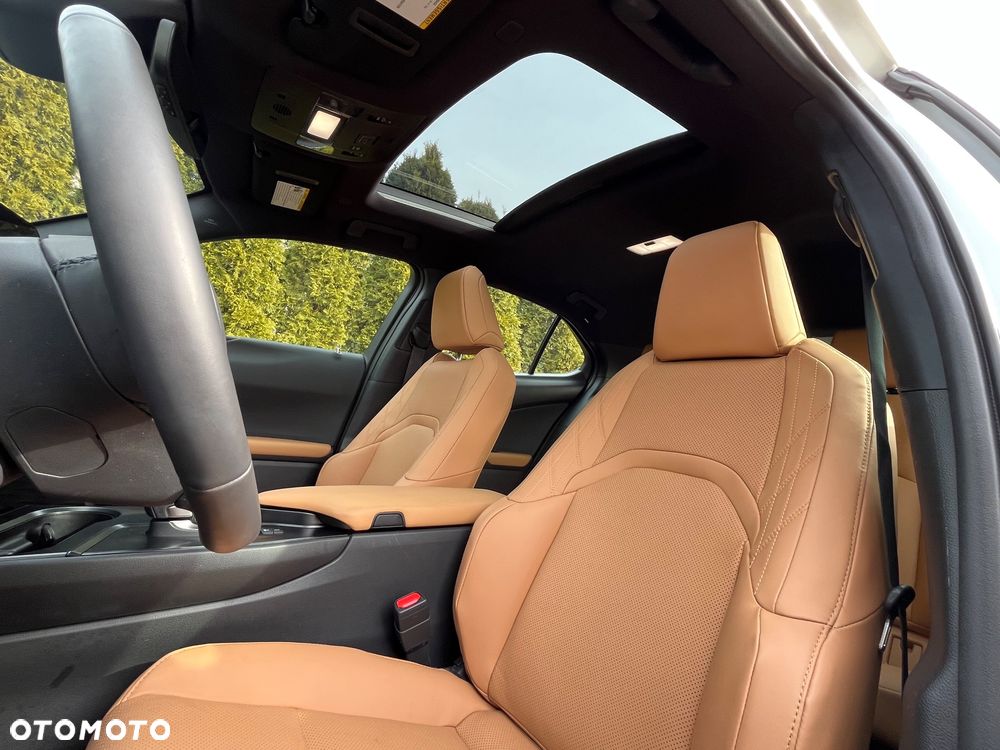 Lexus UX - 15