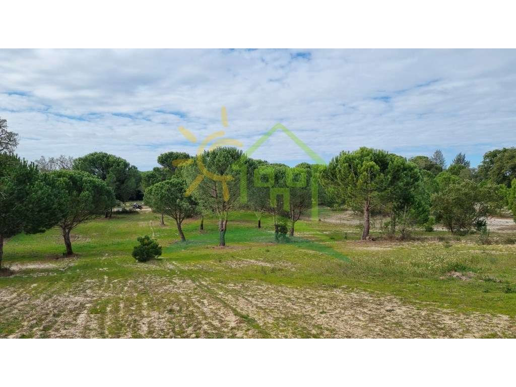 Terreno na Herdade Zambujeiro em Santo Estevão - Grande imagem: 2/12
