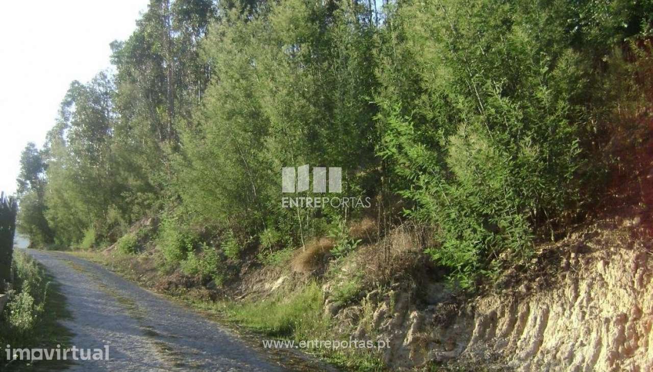 Venda Terreno, Sande, Marco de Canaveses - Grande imagem: 2/5
